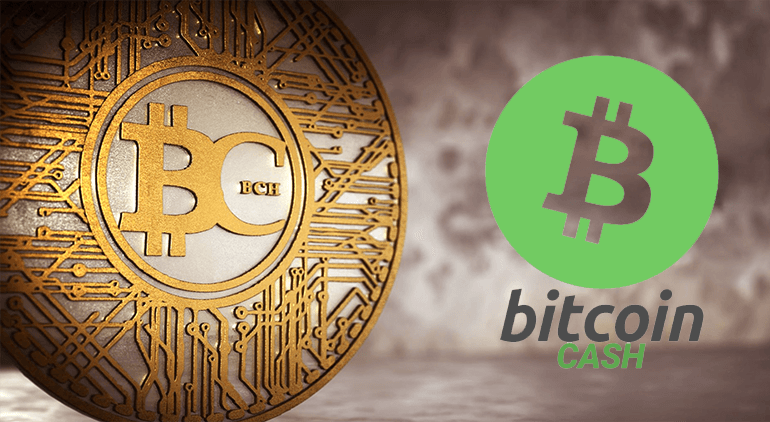 Bitcoin Cash is a variation of the BTC. It came about in 2017 in a bid to make transactions much more accessible.