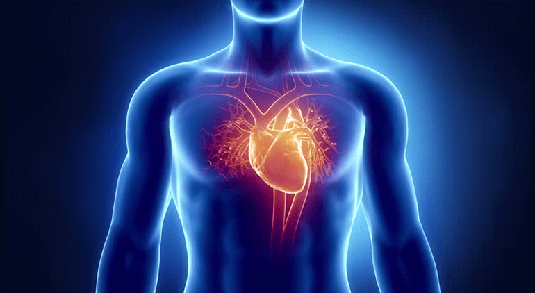 Almost seventy thousand people die each year owing to complications from Heart Disease