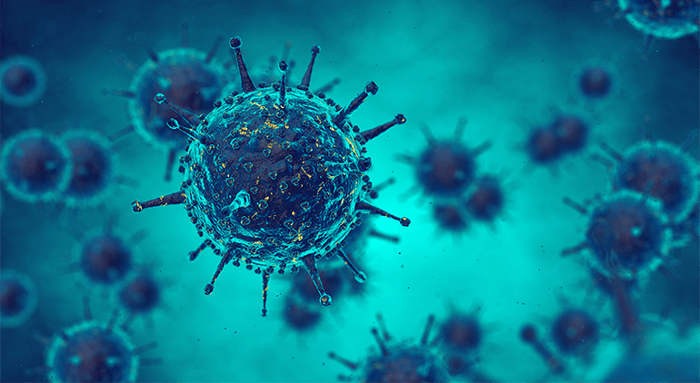 Influenza virus