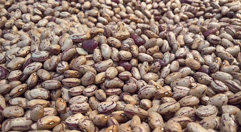 Legumes