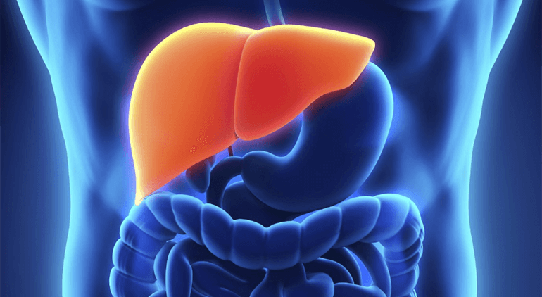 Obese people, heavyweight drinkers and those with undiagnosed infections are the most likely to suffer from Liver Disease
